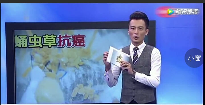 中科院：蛹虫草才含有抗癌素 虫草素和喷司他丁 藏虫草里