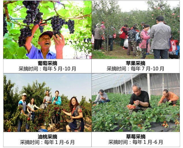 醉美山海林湖泉 养生度假亲和源 辽宁亲和源温泉养老产业园